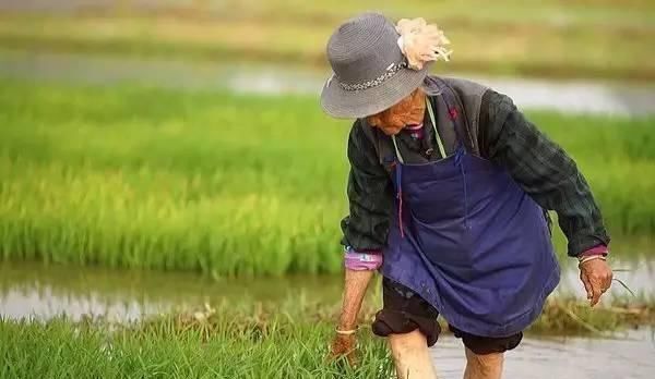 健康|六十岁后还有这7个特征,说明你很健康,全符合至少能活到百岁