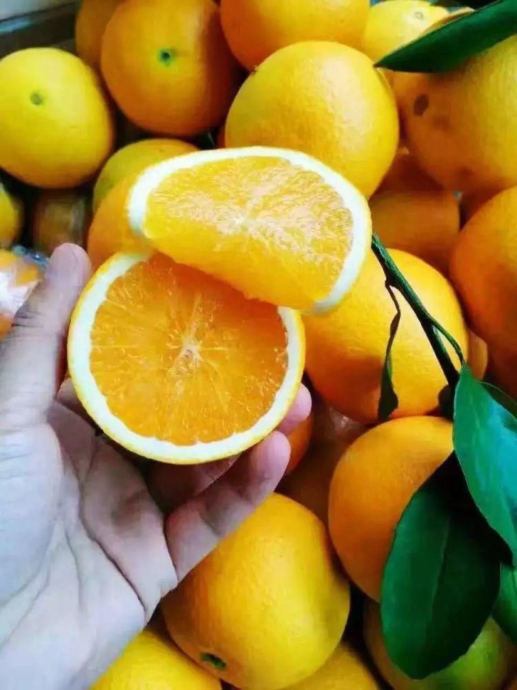 老花匠:扔4种“东西”,就是扔钱,比花肥还好用,不花钱!