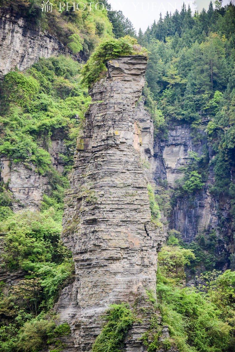 五一去哪儿玩？金佛山环山自驾攻略已为你备好，美景美食太好玩啦