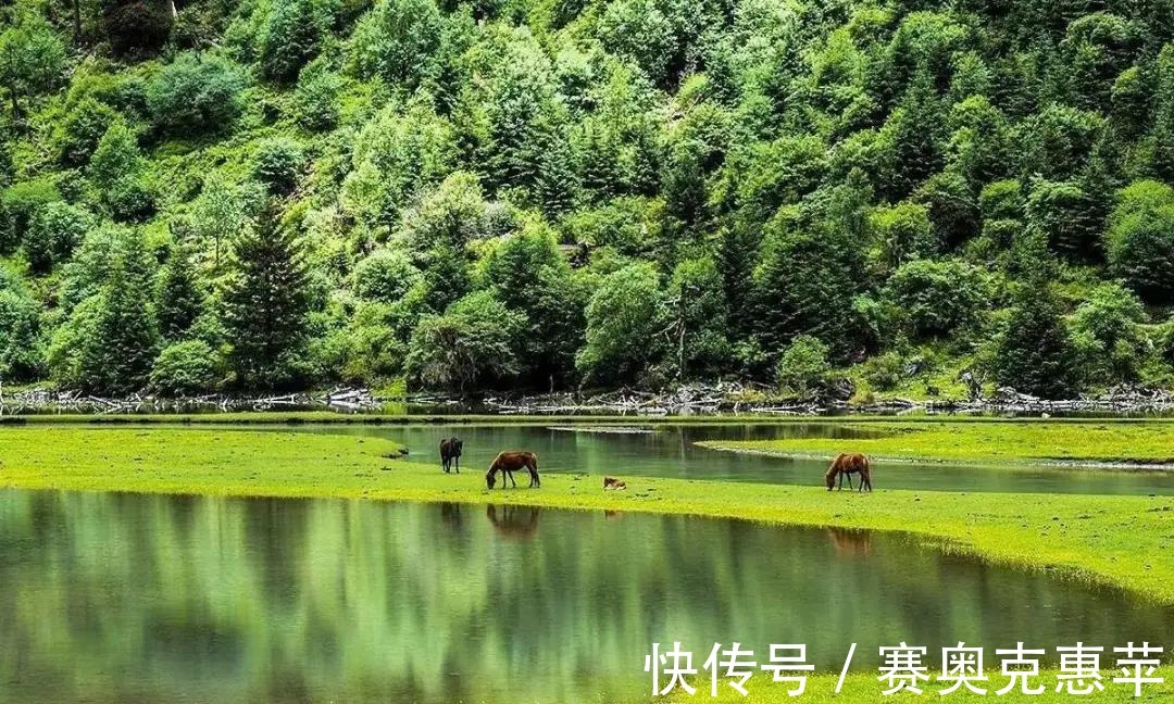 莲花湖|成都周边中秋3日游，超小众景点推荐！