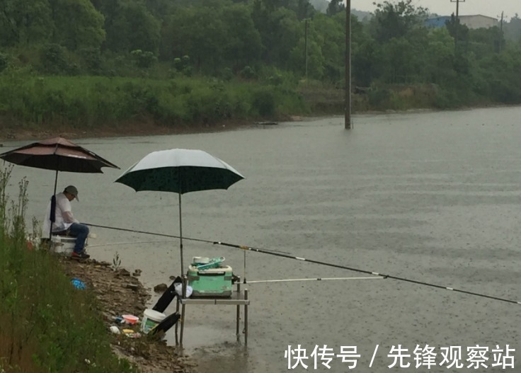 “灭绝式”捕鱼有多暴力?黑科技被滥用,可视锚鱼器成牟利工具!