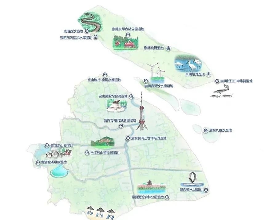 环境科学#好书·推荐 | 上海有哪些湿地?快跟着绘本涨知识