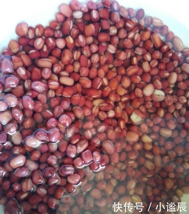 薏米|天然“黃體酮”被發現，女人常喝，淡斑抗衰，40歲仍是少女臉！