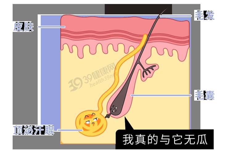 女生|女生的腋毛太多，是一种什么体验？为什么别人的腋下那么干净？