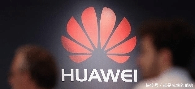 杨元庆|海洋惊现小鱼,不仅肉质鲜美,还能充当海底光源