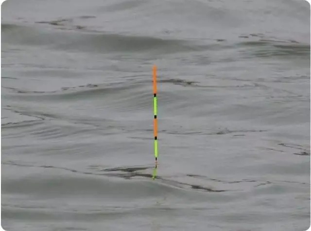 浮漂没有信号扬竿却中鱼,是什么原因了?老钓友来告诉你!