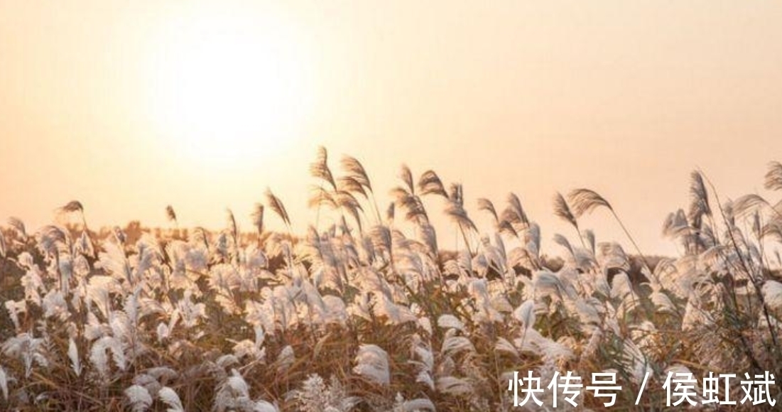 辛弃疾@很适合送别时读的一首宋词,短短4句,就写尽了离别之苦