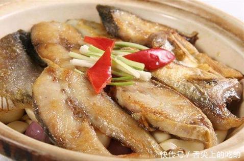 海鱼|被誉为最好吃的海鱼，鱼肉似“千层糕”，我国独有，却少有人知