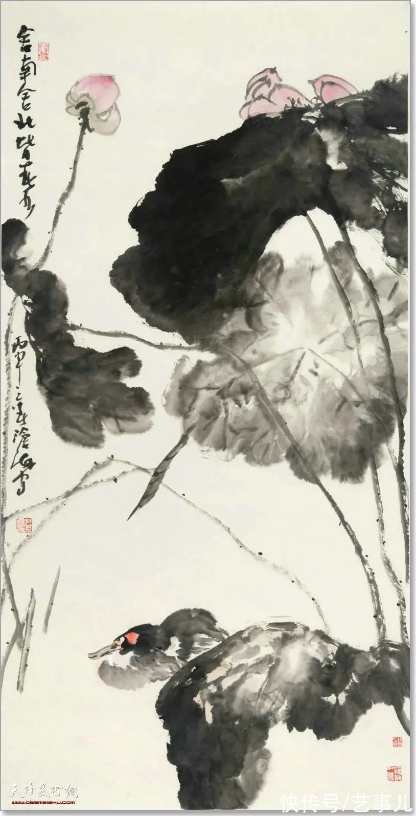 库尔勒!尹沧海教授荷花水禽作品欣赏:笔意简率自由 一派天趣自成