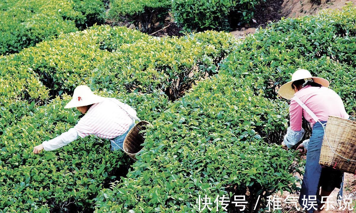 脚部|脚部出现3症状,代表糖尿病足来了不想截肢,牢记这3件事