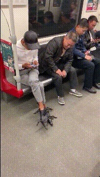 |搞笑GIF:一群单身狗活该单身,都看不见妹子倒了吗