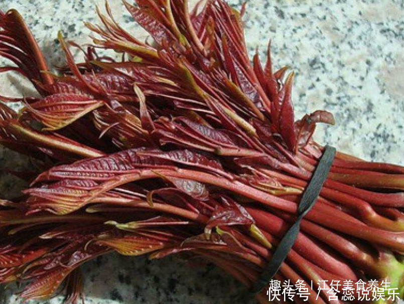 香椿好吃,却不能乱吃,春季吃香椿有1个禁忌,还有很多人不清楚