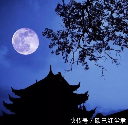 宦途#元代鲜为人知的七律,跌宕起伏,展现出对悠闲生活的向往