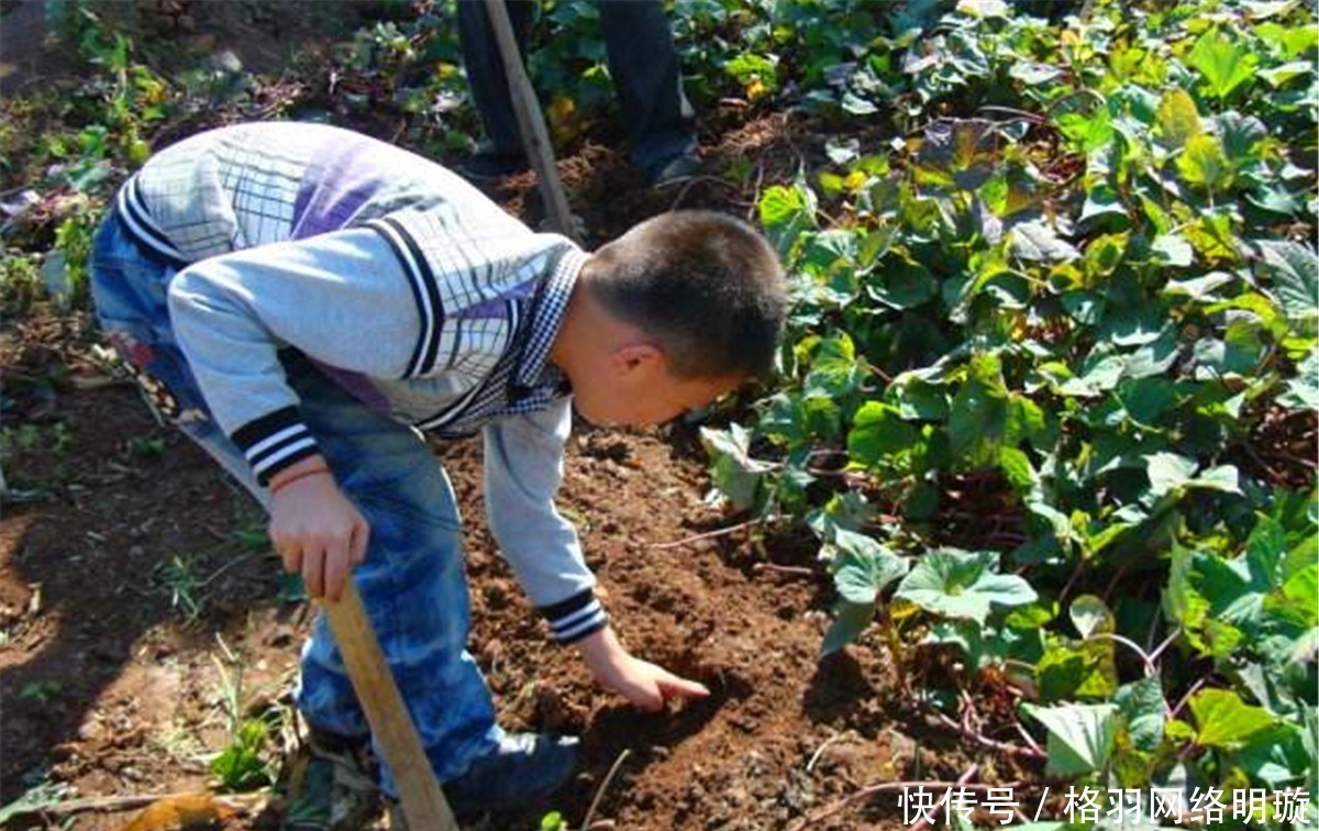 本草纲目#俗语:宁往北走一千,不往南挪一砖,老祖宗留下来的讲究