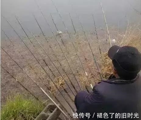 轻松一刻：大爷，你给鱼留点活路吧