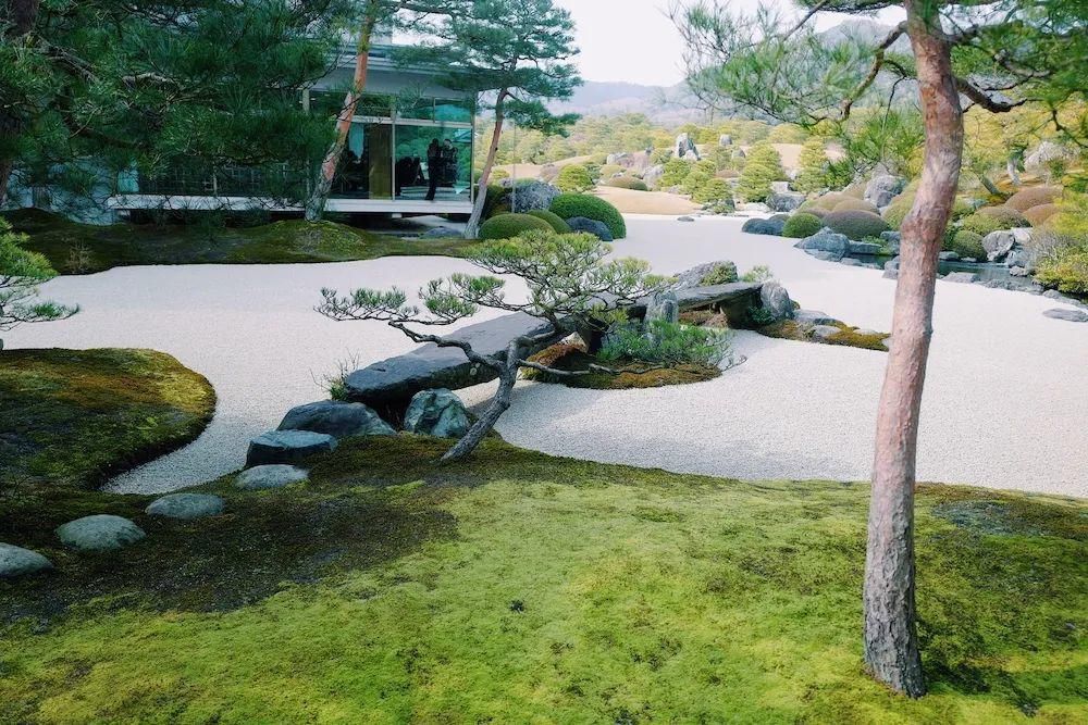  河边|丹枫江冷人初去，鸭川河边的嬉闹声还曾记否？