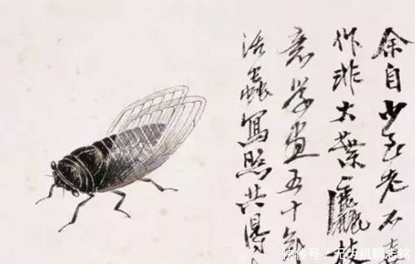 文艺工作者#为什么齐白石的“蝉”能卖8亿天价?专家:放大30倍后就懂了