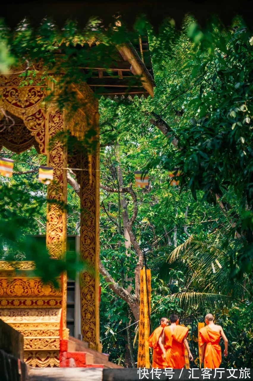 雨林|比泰国风情，比丽江更美！被评为2022全球十佳旅行地！