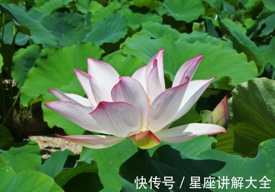 金生水相生局|到了2022年,4属相吉星关照,日子顺心,生活越来越如意