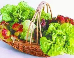  高血|糖尿病并不可怕，重要的是你要懂得该如何保持健康的饮食习惯~