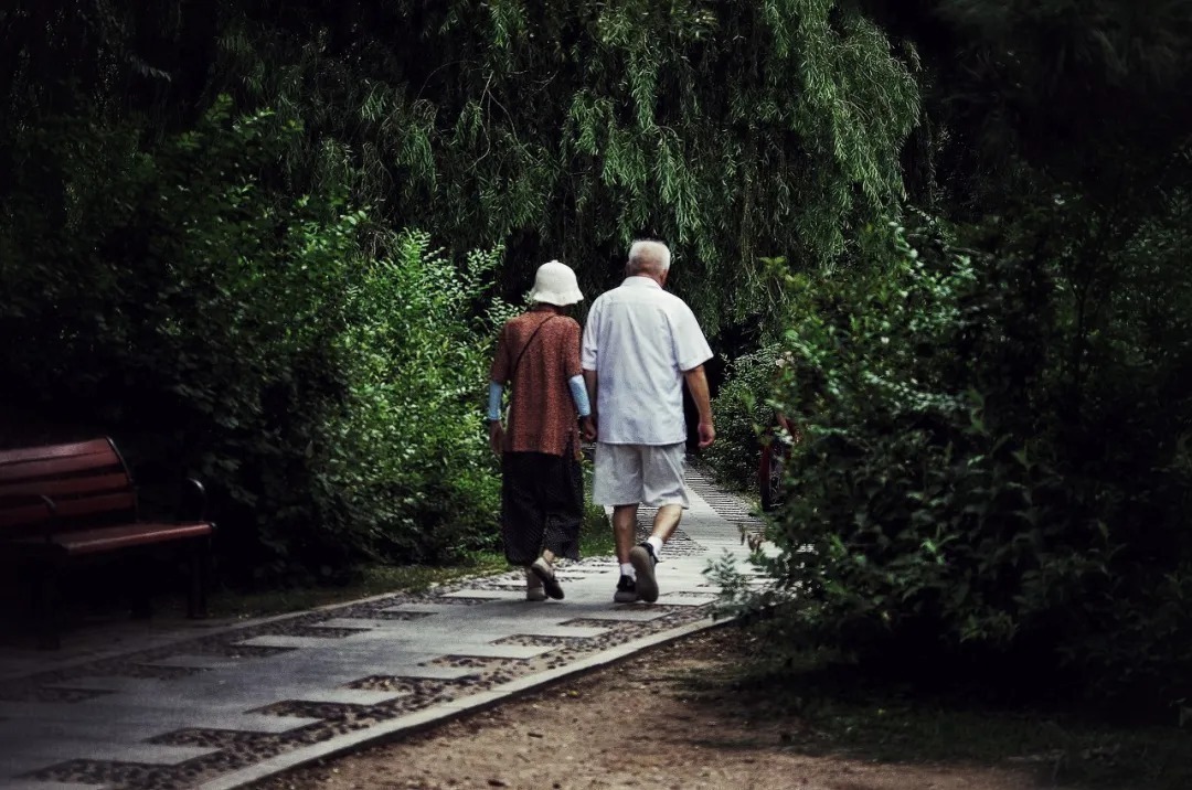 梦萦&有人把《当你老了》翻译成古诗词,真是太美了