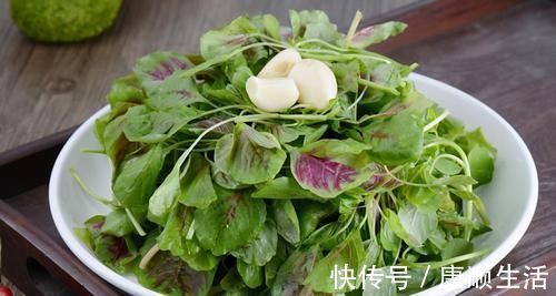 铁苋菜|人到中年，不妨多吃3种食物，滋肝明目、推迟衰老，谁吃谁健康