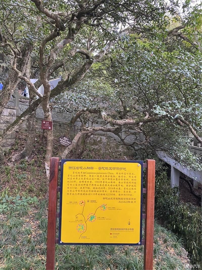 前往佛教圣地普陀山进香祈福