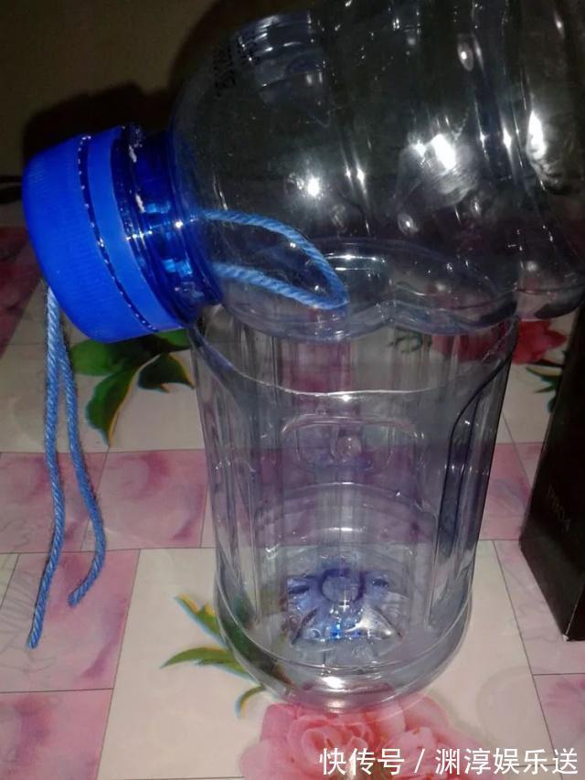 矿泉水瓶有“大作用”,10个“用法”最经典,可以种豆芽、养花