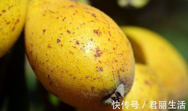 栗子|人到中年想长寿 ,几种食物要多吃,排毒抗衰,还能滋补身体