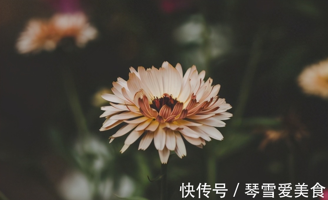 大姨|儿女成家后,和亲家相处做到2点就够了,很重要