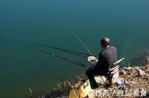 大鱼|钓鲤鱼选对饵料才能钓大鱼,饵料按照这样去做,不咬钩都难