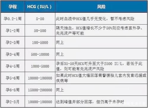 孕早期不会看HCG？这篇文章告知你答案