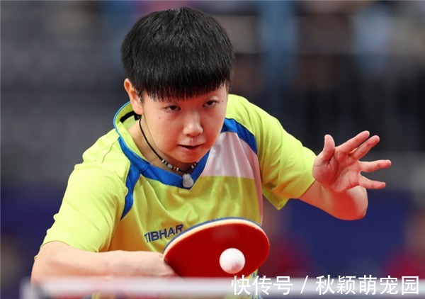 失误|孙颖莎打嗨了!3-1险胜国乒老将,抗压上场立大功下轮遭劲敌狙击
