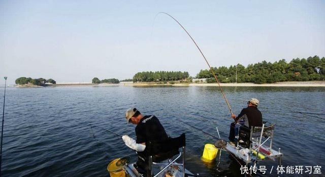 制饵|老钓手分享自己用了几年的酒米配方,每次野钓都能钓个十几斤