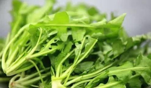 谷谷丁|7种农村常见的野菜，个个都是治病的“良药”，你吃过几个