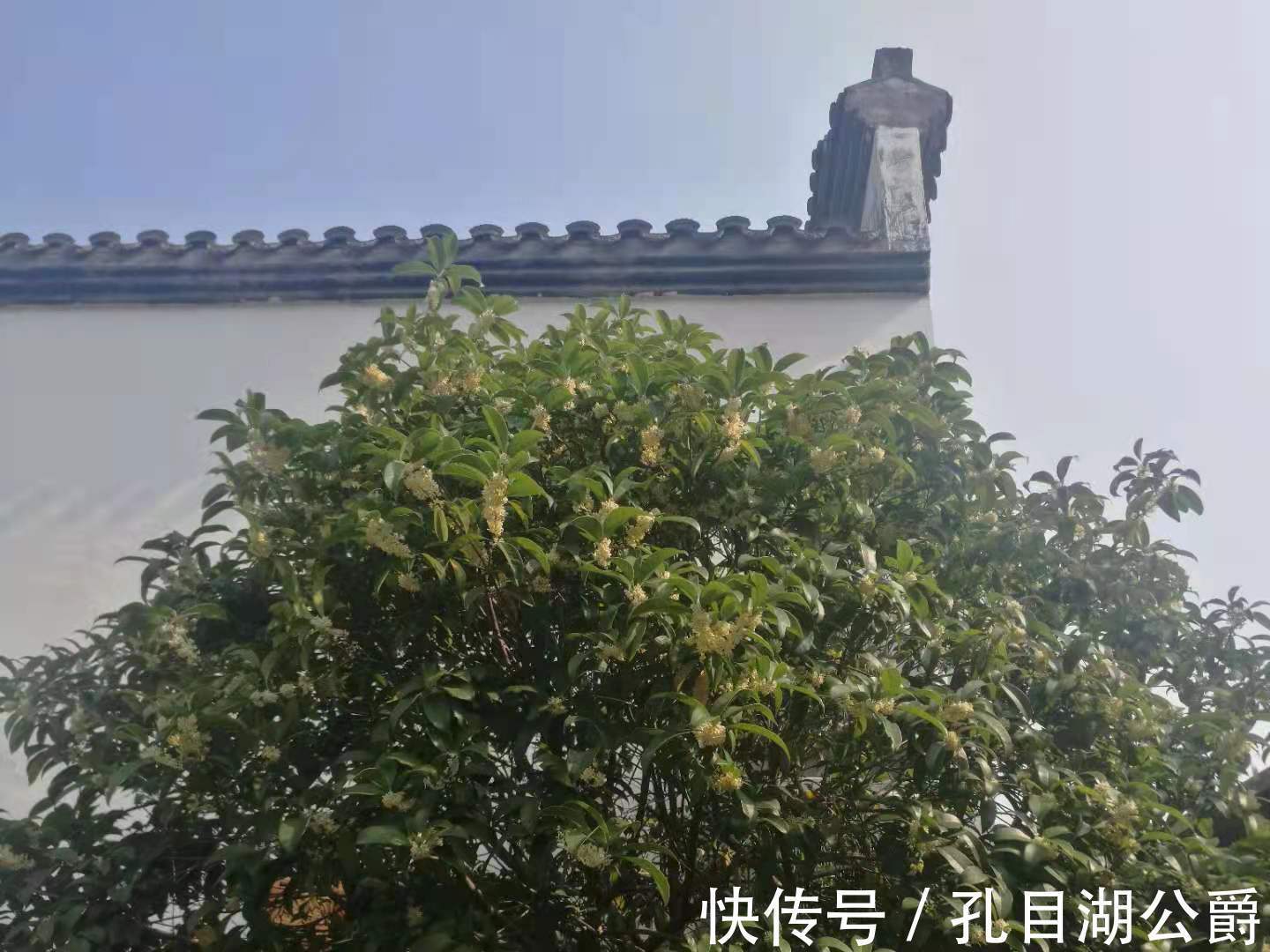 天井#南昌魅力街区——孔目湖畔深处的“画室”