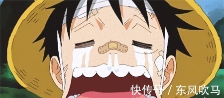 海贼王|6个人眼中的路飞,娜美视其为沙袋,女帝和巴托洛米奥滤镜厚重