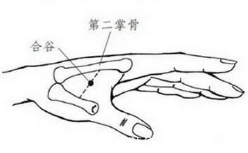 腰背部|含胸驼背不精神教你4个方法挺拔身姿,坚持一个月效果出乎意料
