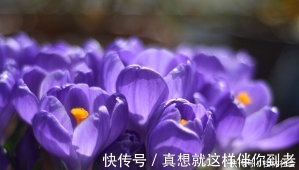 孟尝君|遇到小人不要怕,就学会这4招,再狡猾小人也不怕,让他服服帖帖