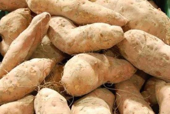 买红薯，只看粗细就错了，牢记4个小妙招，红薯香甜软糯，实用！