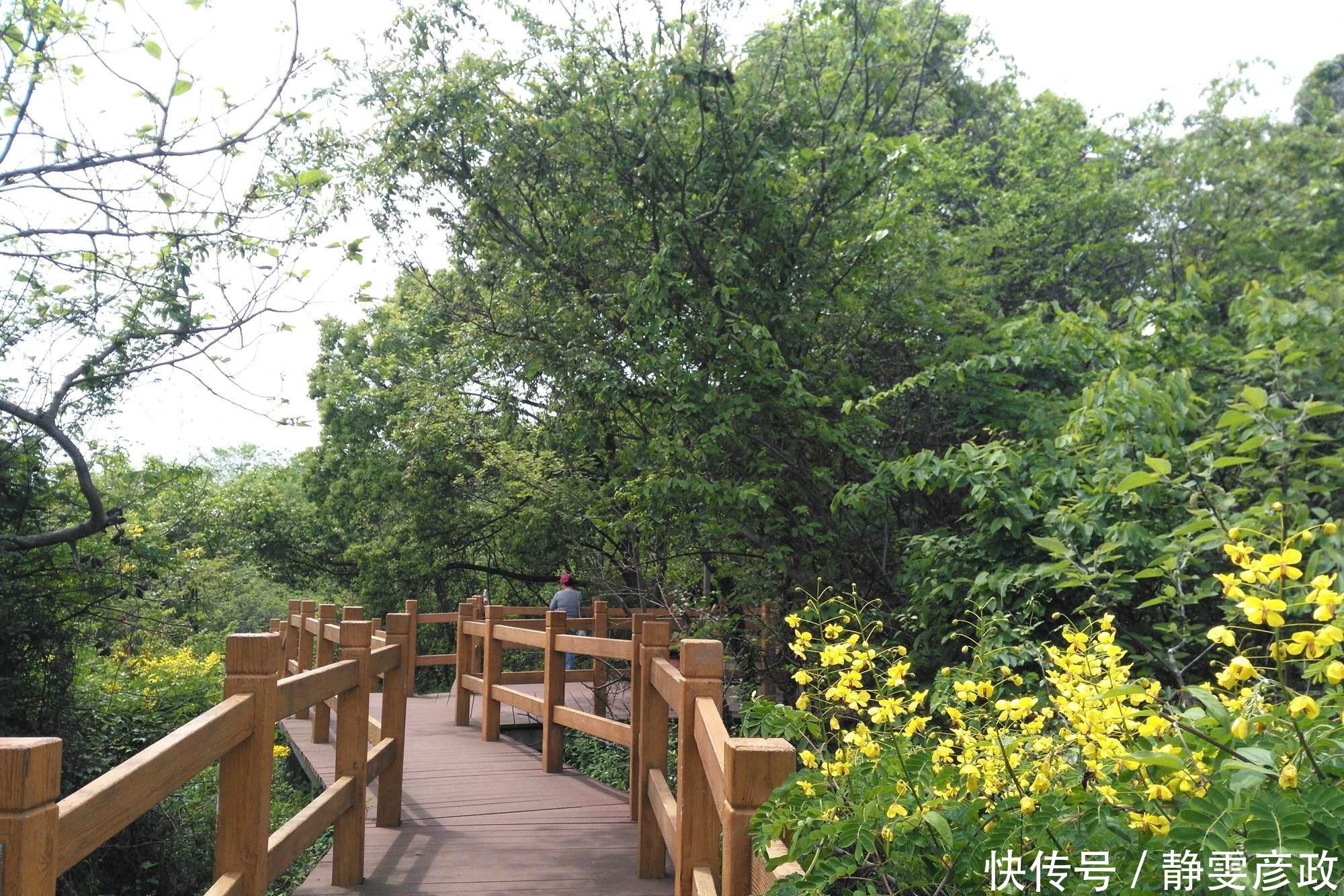 黑色素|男人老没老,看脸就知道,若有这3个特征,说明老了,别不承认