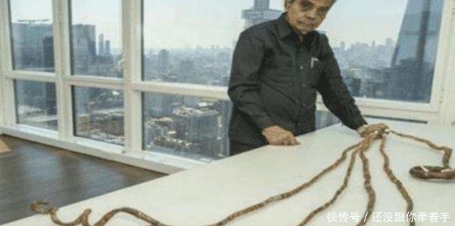 大爷|大爷留了44年的长指甲,捐给了博物馆,不料指甲被剪后发生意外