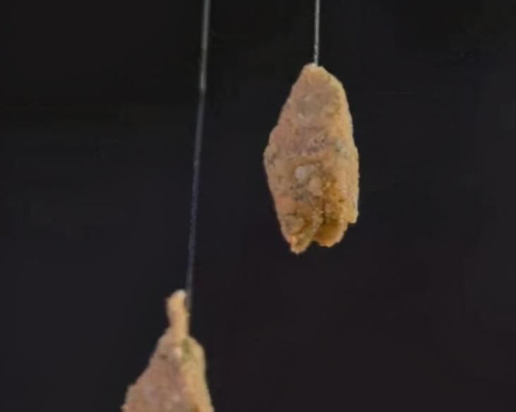 漂相|降温后鱼口轻总是没顿口换个“思路”来调漂,马上就黑漂了