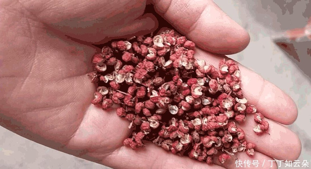 鲜美|炖鸡最忌直接下锅，教你正确“3不放”窍门，汤汁鲜美无腥味！