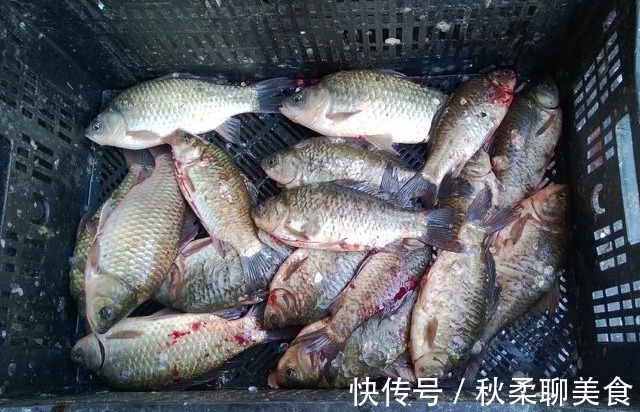 鱼肉|市面上“卖不掉”的死鱼去哪了？商家不小心说漏嘴，多数人都吃过