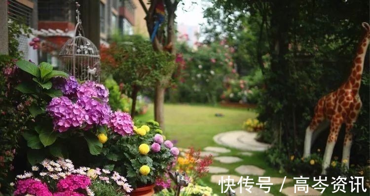 小区|坐拥270㎡大院子,她如何用五年时间,打造成了全小区最美的花园