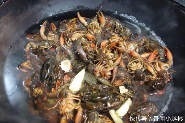 懂行|它被错认为是小龙虾,却无人愿意买,最终被懂行的大叔全包了!