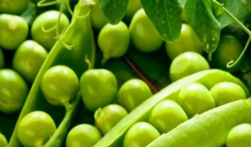 想一直健康，春天吃的食物，消腫止痛，活血養(yǎng)顏，吃了肌膚好