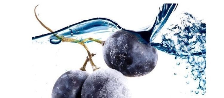 大鼠|对身体很好的3种食物,要坚持吃一吃,排毒养颜,改善体质