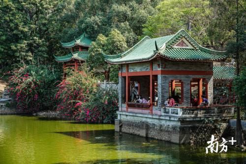过年|春日暖阳，旗峰山登高望远人气旺
